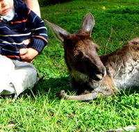 Bunbury Wildlife Park - Accommodation Rockhampton