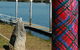 Maclean Tartan Power Poles - thumb 1