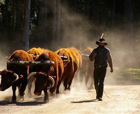 Timbertown Heritage Theme Park - Accommodation Rockhampton 1