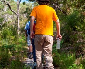 Naree Budjong Djara National Park - Accommodation Rockhampton 3