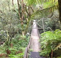 Bemm River Scenic Reserve - Accommodation Rockhampton