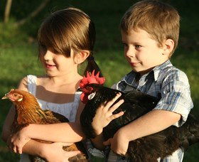 Summerland House Farm - House With No Steps - Accommodation Rockhampton 2