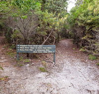 Angophora grove walking track - Accommodation Rockhampton