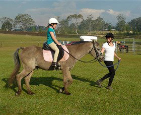 Port Macquarie Horse Riding Centre - Accommodation Rockhampton 0
