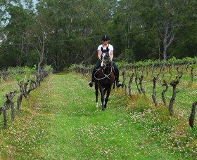Port Macquarie Horse Riding Centre - Accommodation Rockhampton 1