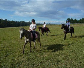 Port Macquarie Horse Riding Centre - Accommodation Rockhampton 5