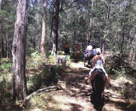 Port Macquarie Horse Riding Centre - Accommodation Rockhampton 4