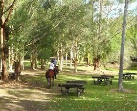 Port Macquarie Horse Riding Centre - Accommodation Rockhampton 6