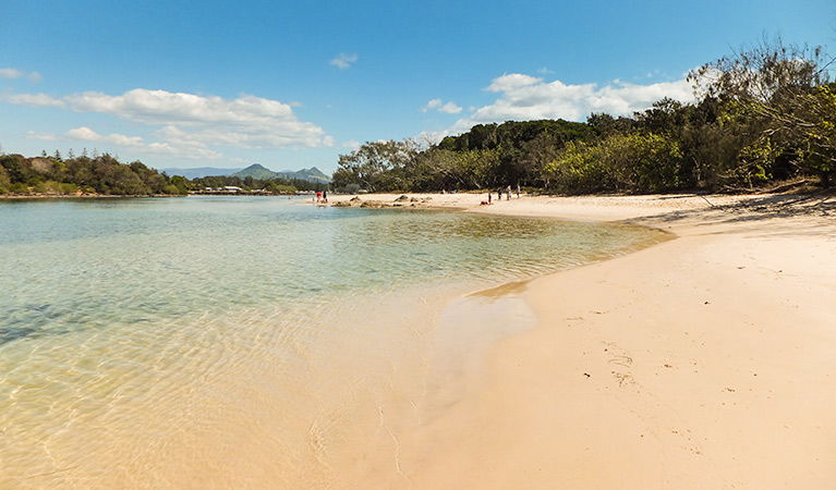 Brunswick Heads NSW Accommodation Rockhampton
