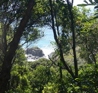 Rainforest walking track - Accommodation Rockhampton