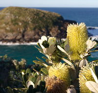 Green Island walking track - Accommodation Rockhampton
