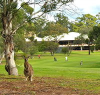 Pambula Merimbula Golf Club - Accommodation Rockhampton
