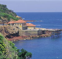 Merimbula Aquarium - Accommodation Rockhampton