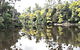 Arthur River - thumb 0