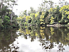 Arthur River - Accommodation Rockhampton 0