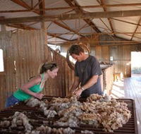 Peron Homestead - Accommodation Rockhampton