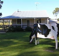 Millers Ice Cream - Accommodation Rockhampton