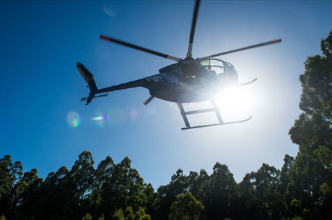 Tall Timbers Adventure Tours - Accommodation Rockhampton 4