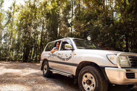 Tall Timbers Adventure Tours - Accommodation Rockhampton 9