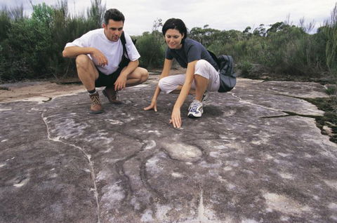 Sydney Coast Walks - Accommodation Rockhampton 4