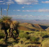 4WD Aussie Outback Adventures - Accommodation Rockhampton