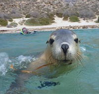 Calypso Star Charters - Accommodation Rockhampton