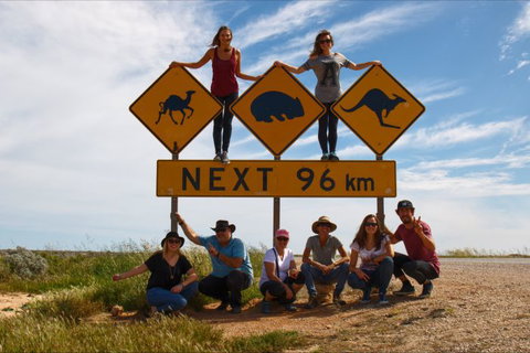 Nullarbor Traveller - Accommodation Rockhampton 31