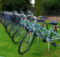 Barossa Bike  - Accommodation Rockhampton