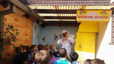 The Honey Place - Accommodation Rockhampton 4