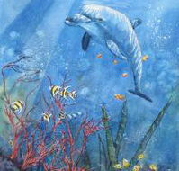 Nadas Fine Art Gallery - Accommodation Rockhampton