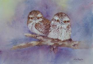 Nada’s Fine Art Gallery - Accommodation Rockhampton 1
