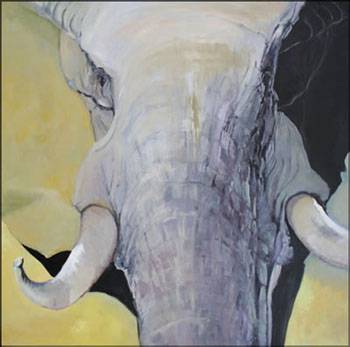 Bright Madge - Accommodation Rockhampton 1