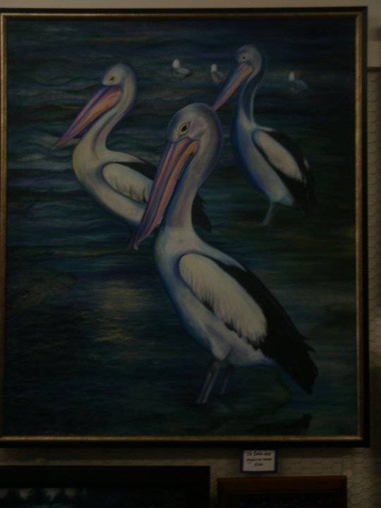 Sunshine Coast Hinterland QLD Accommodation Rockhampton