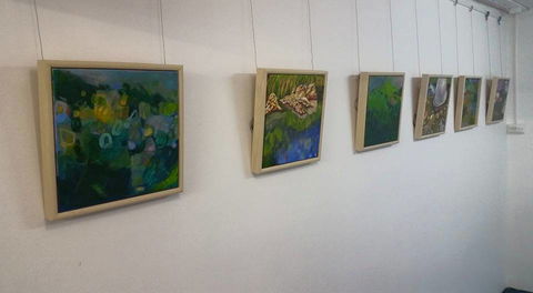 Art Arena Gallery Inc - Accommodation Rockhampton 2
