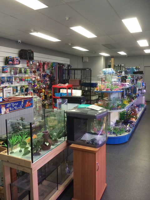 Nambour Pet Shop - Accommodation Rockhampton 0