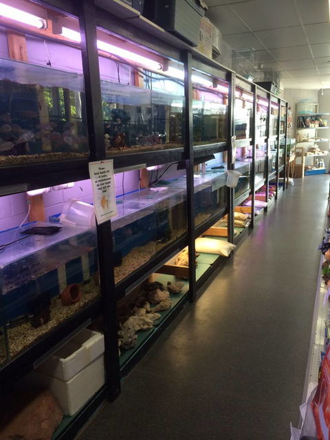 Nambour Pet Shop - Accommodation Rockhampton 1