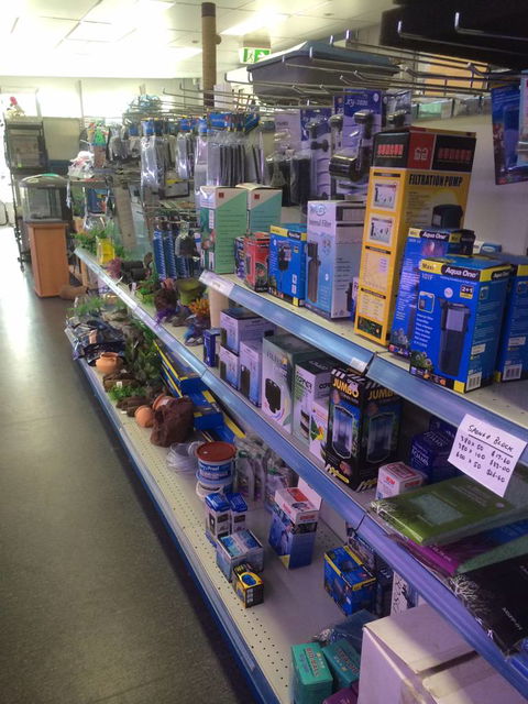 Nambour Pet Shop - Accommodation Rockhampton 2