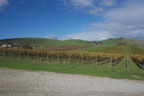 Wine Compass - Accommodation Rockhampton 1