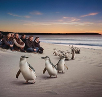 Down Under Thrills - Accommodation Rockhampton