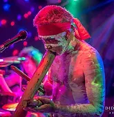 Didgeridoo Jam In The Park - Accommodation Rockhampton 1