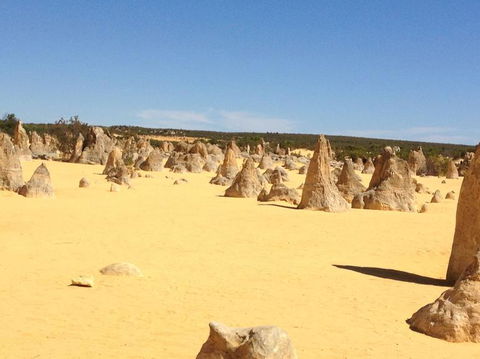Pinnacles Desert, Koalas And Sandboarding 4WD Day Tour From Perth - Accommodation Rockhampton 15