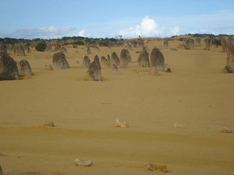 Pinnacles Desert, Koalas And Sandboarding 4WD Day Tour From Perth - Accommodation Rockhampton 23