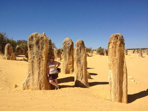Pinnacles Desert, Koalas And Sandboarding 4WD Day Tour From Perth - Accommodation Rockhampton 17