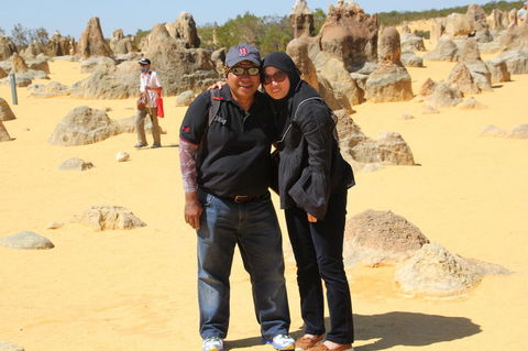 Pinnacles Desert, Koalas And Sandboarding 4WD Day Tour From Perth - Accommodation Rockhampton 12