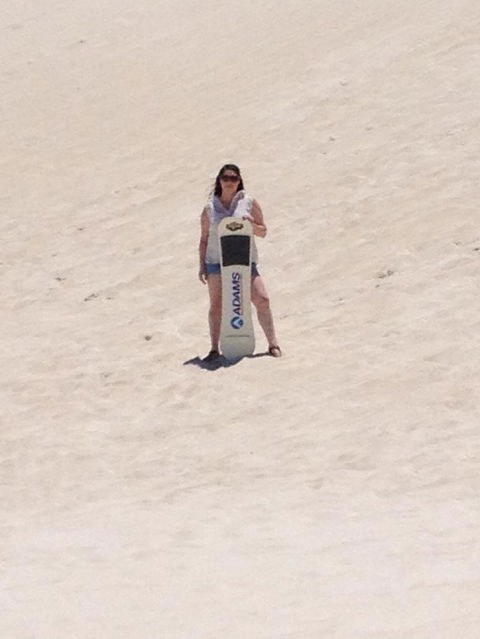 Pinnacles Desert, Koalas And Sandboarding 4WD Day Tour From Perth - Accommodation Rockhampton 21