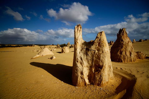 Pinnacles Desert, Koalas And Sandboarding 4WD Day Tour From Perth - Accommodation Rockhampton 6