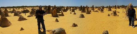 Pinnacles Desert, Koalas And Sandboarding 4WD Day Tour From Perth - Accommodation Rockhampton 11