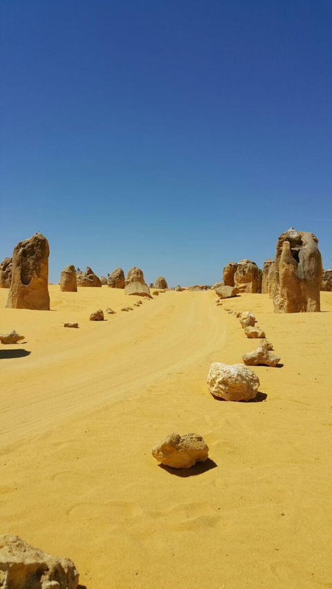 Pinnacles Desert, Koalas And Sandboarding 4WD Day Tour From Perth - Accommodation Rockhampton 3