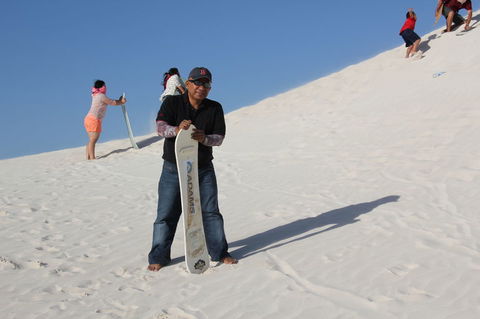 Pinnacles Desert, Koalas And Sandboarding 4WD Day Tour From Perth - Accommodation Rockhampton 9