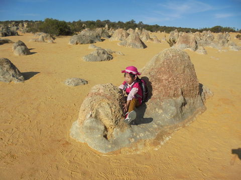 Pinnacles Desert, Koalas And Sandboarding 4WD Day Tour From Perth - Accommodation Rockhampton 7